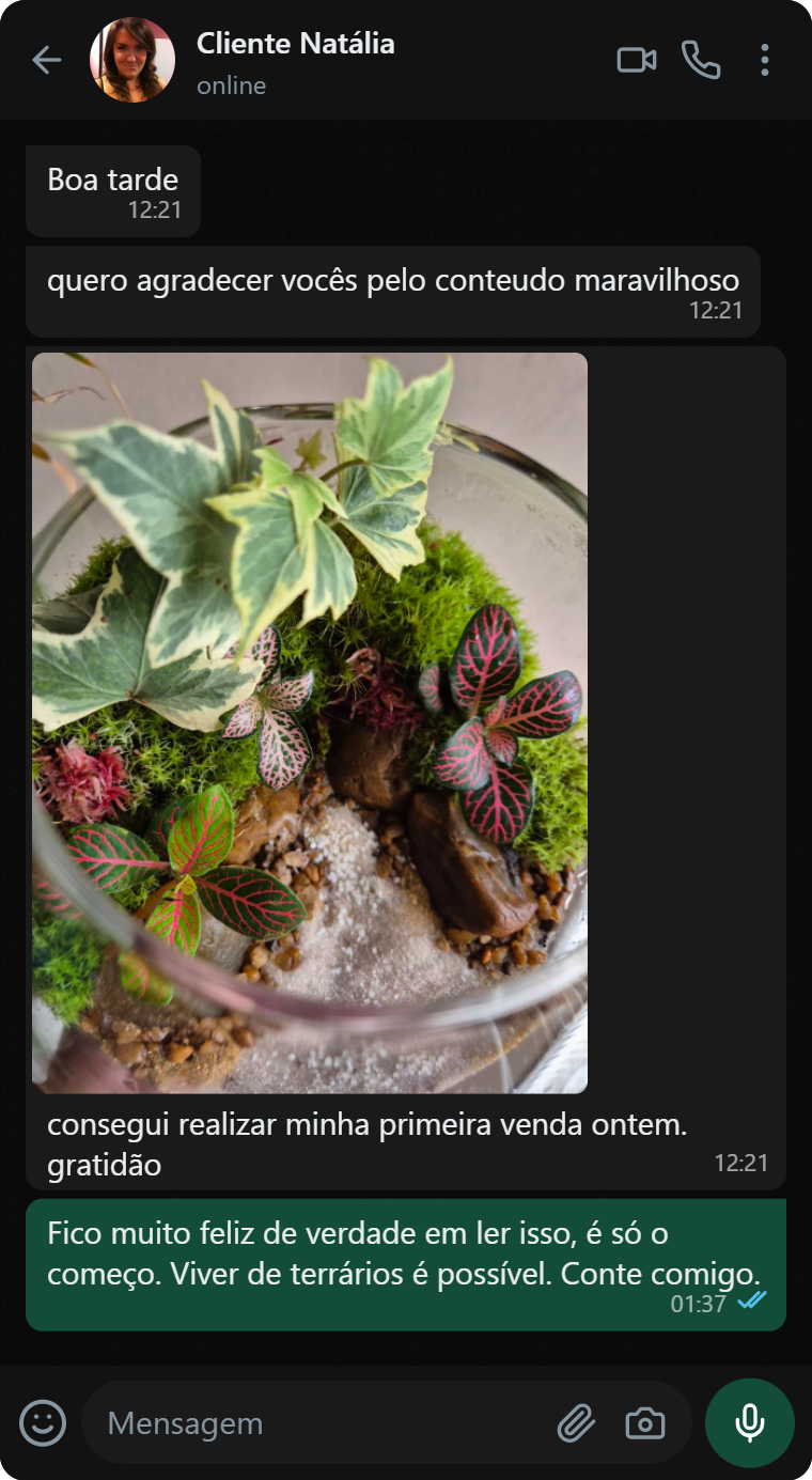 Depoimento no WhatsApp de Cliente Natália com primeira venda e foto de terrário